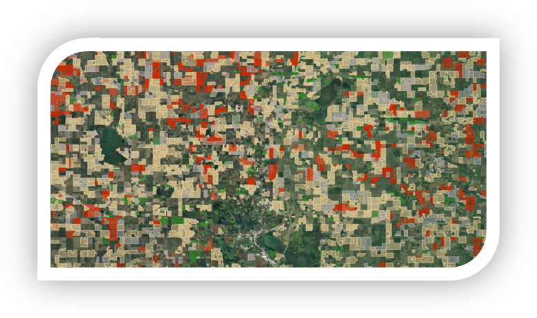 Targeting & Segmentation Module