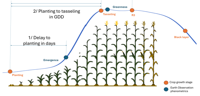 Crop Phenometrics Module