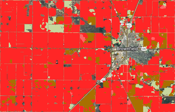US Texas 2024