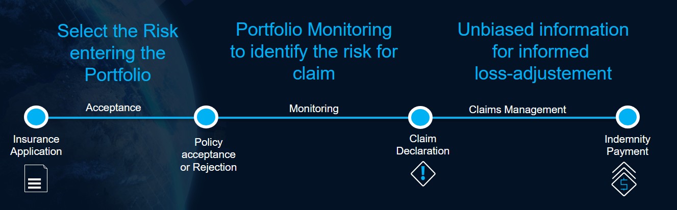 Insurance Portfolio Overview Schema